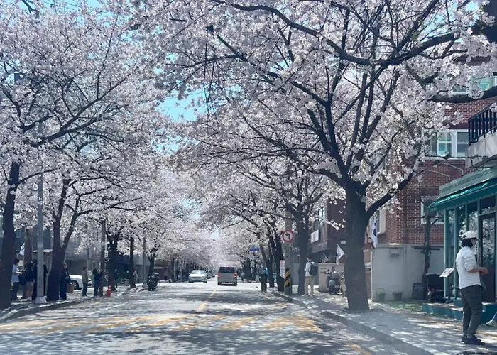 Hongdae Hapjeong 3br For 4 To 8 People Appartement *